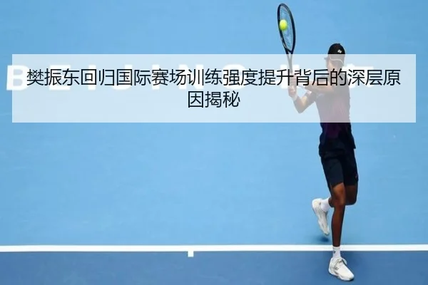 樊振东回归国际赛场训练强度提升背后的深层原因揭秘